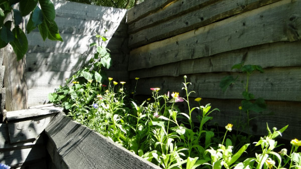 Pflanzentauschbörse in Marialinden