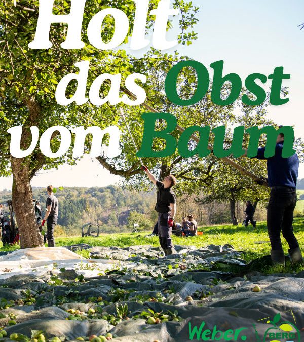 Streuobst Erntekampagne 2025